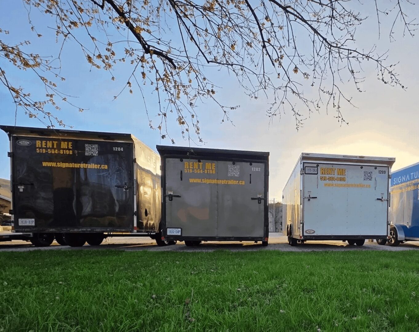 Three rental trailers parked on grass.